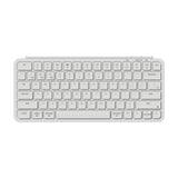 Ivory White