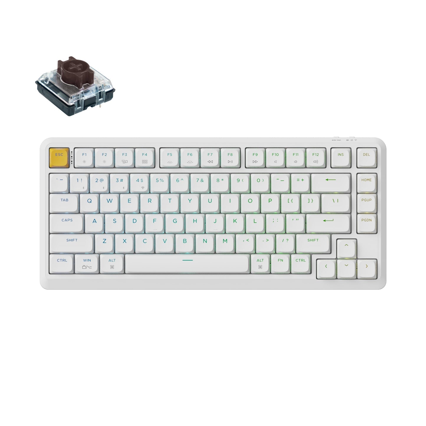 Keychron J1 QMK Wireless Mechanical Keyboard