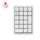 Shell White