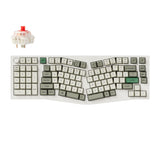Shell White