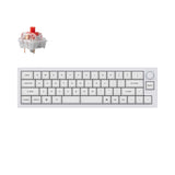 Shell White
